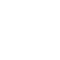 Steps Icon.png