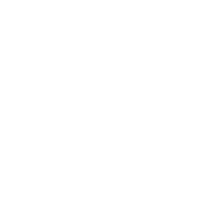 Robust Body Icon.png
